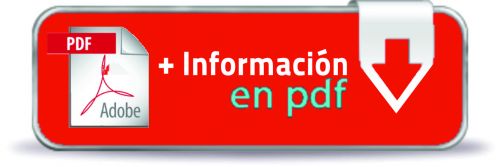 boton descarga PDF