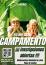CAMPAMENTOS DE VERANO 2025