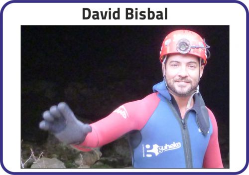 Imagen David Bisbal